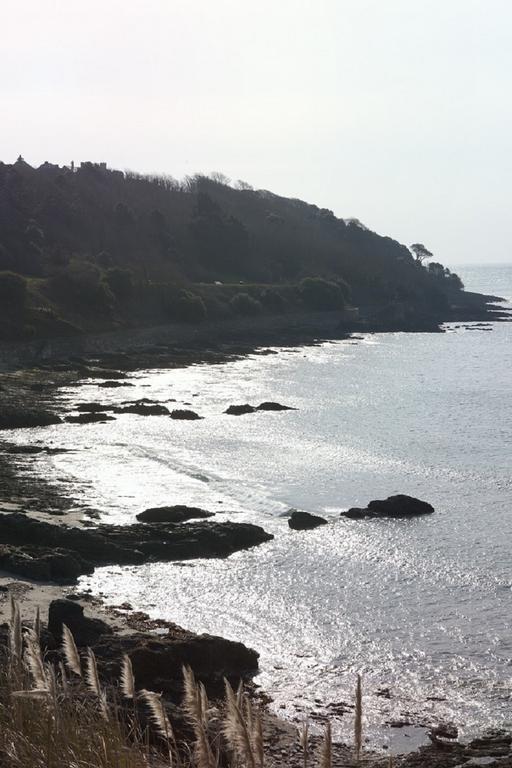 Park View Townhouse Hotel Falmouth Kültér fotó